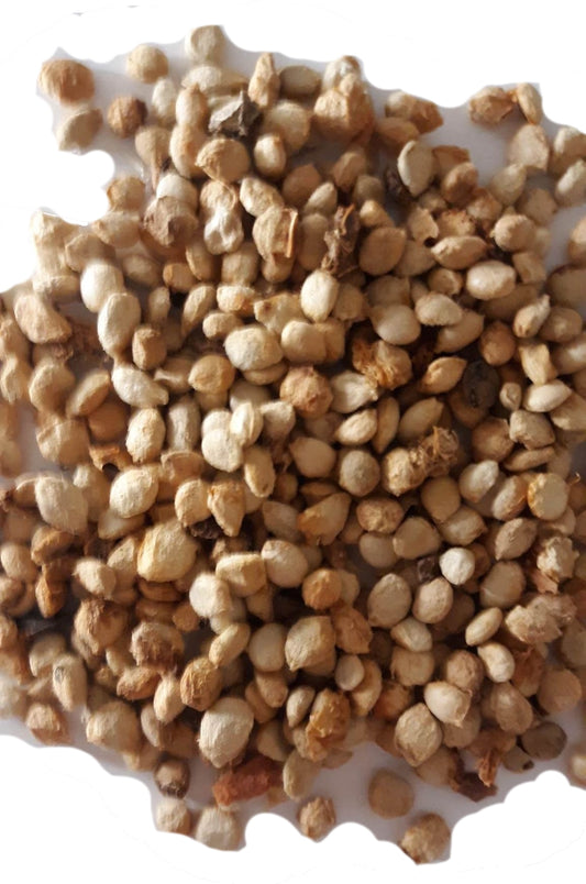 Bael Aegle Marmelos SEEDS 15 seeds